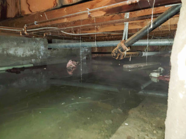 Best Fire Damage Restoration  in Greencastle, PA