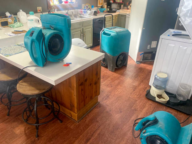 Best Water damage repair service  in Greencastle, PA