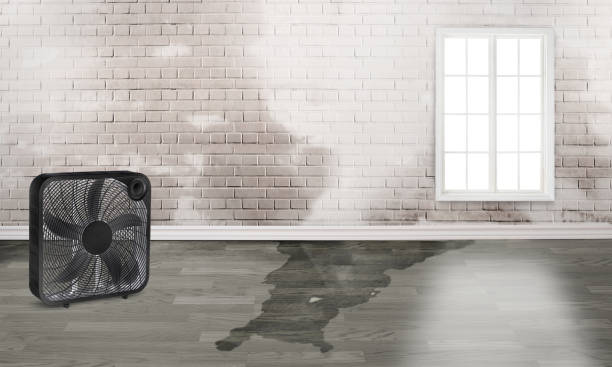 Best Emergency water damage restoration  in Greencastle, PA
