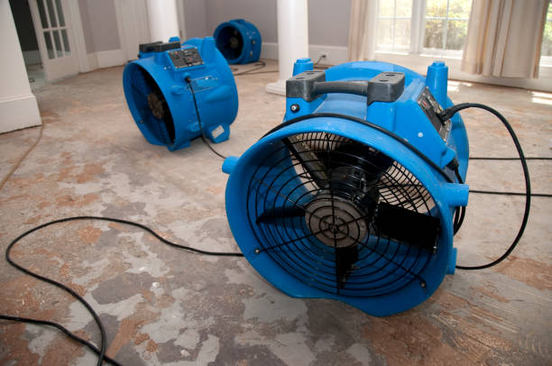 Best Water damage restoration near me  in Greencastle, PA