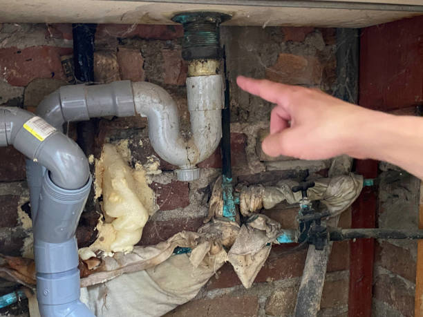 Best Basement water damage restoration  in Greencastle, PA