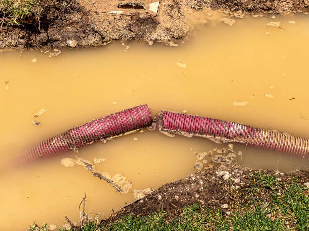 Best Sewage cleanup and water damage restoration  in Greencastle, PA