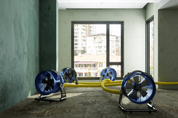 Best 24/7 water damage repair  in Greencastle, PA